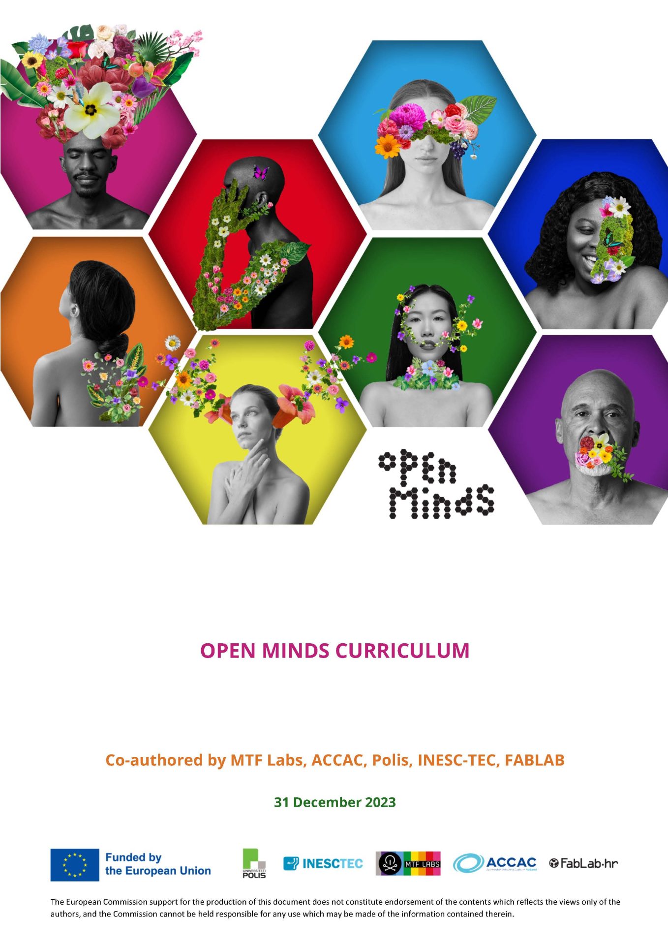 Curriculum_Page_1 Red hexagon with a man with colourful flowers covering his hand